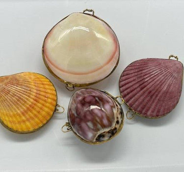 SEASHELL COIN PURSE