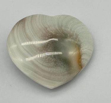 SHIVA SHELL HEART